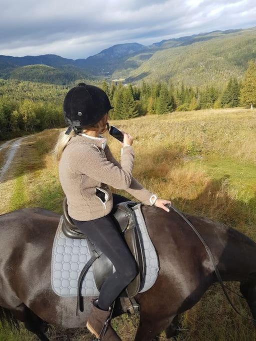 River Run Ranch - Telemark Drangedal