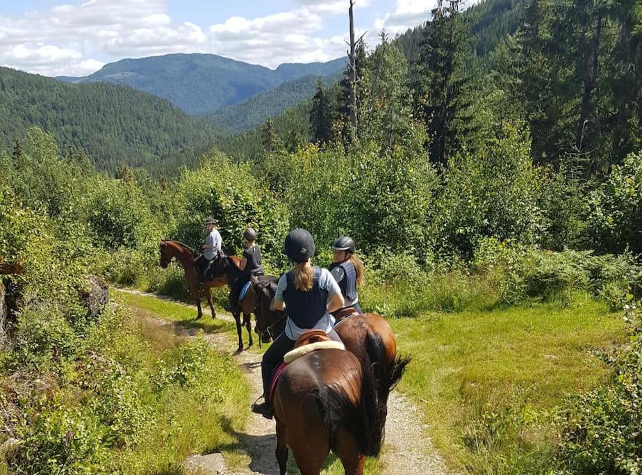 River Run Ranch - Telemark Vakantiehuis Drangedal