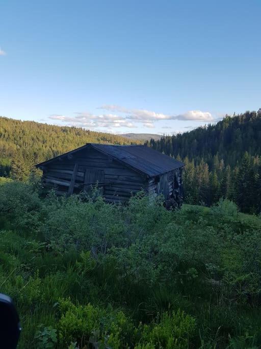 River Run Ranch - Telemark Vakantiehuis