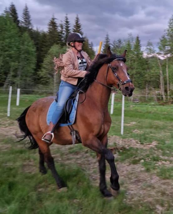River Run Ranch - Telemark Vakantiehuis *