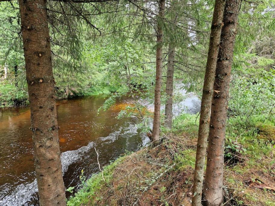 River Run Ranch - Telemark * Drangedal