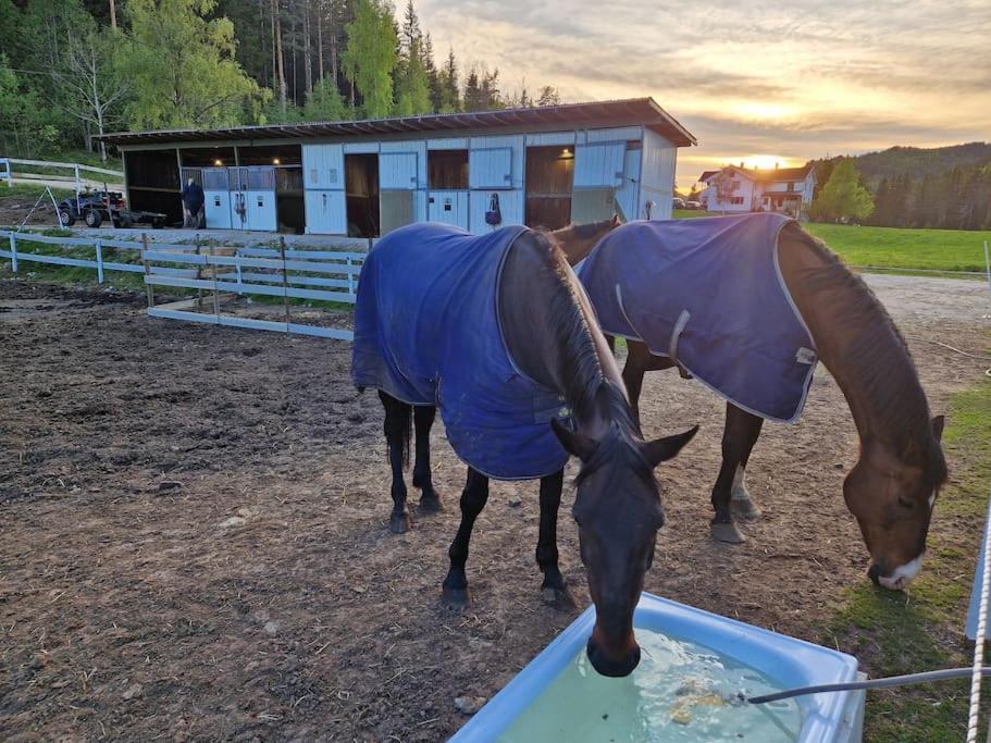 River Run Ranch - Telemark Vakantiehuis *