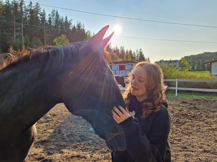 Vakantiehuis River Run Ranch - Telemark